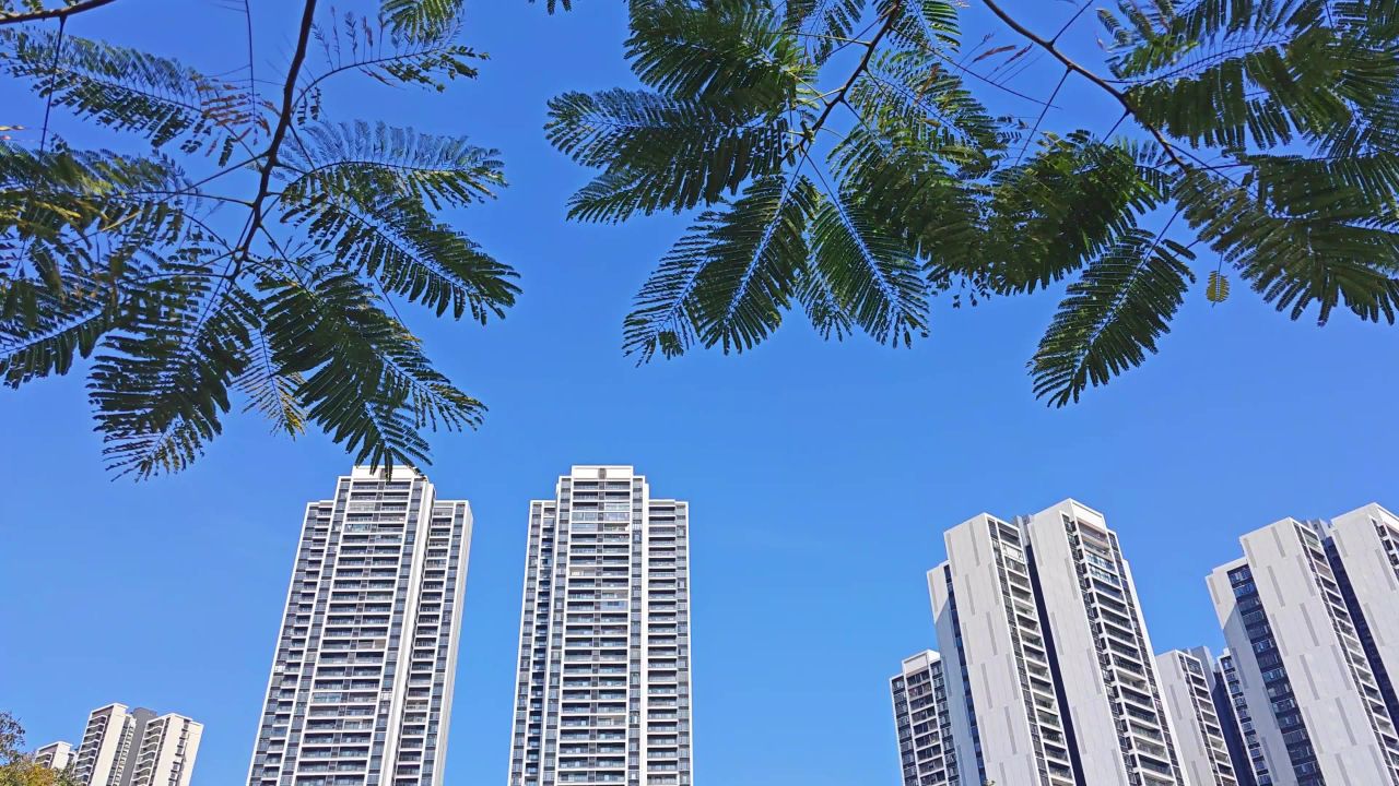 4K蓝天高楼微风树叶