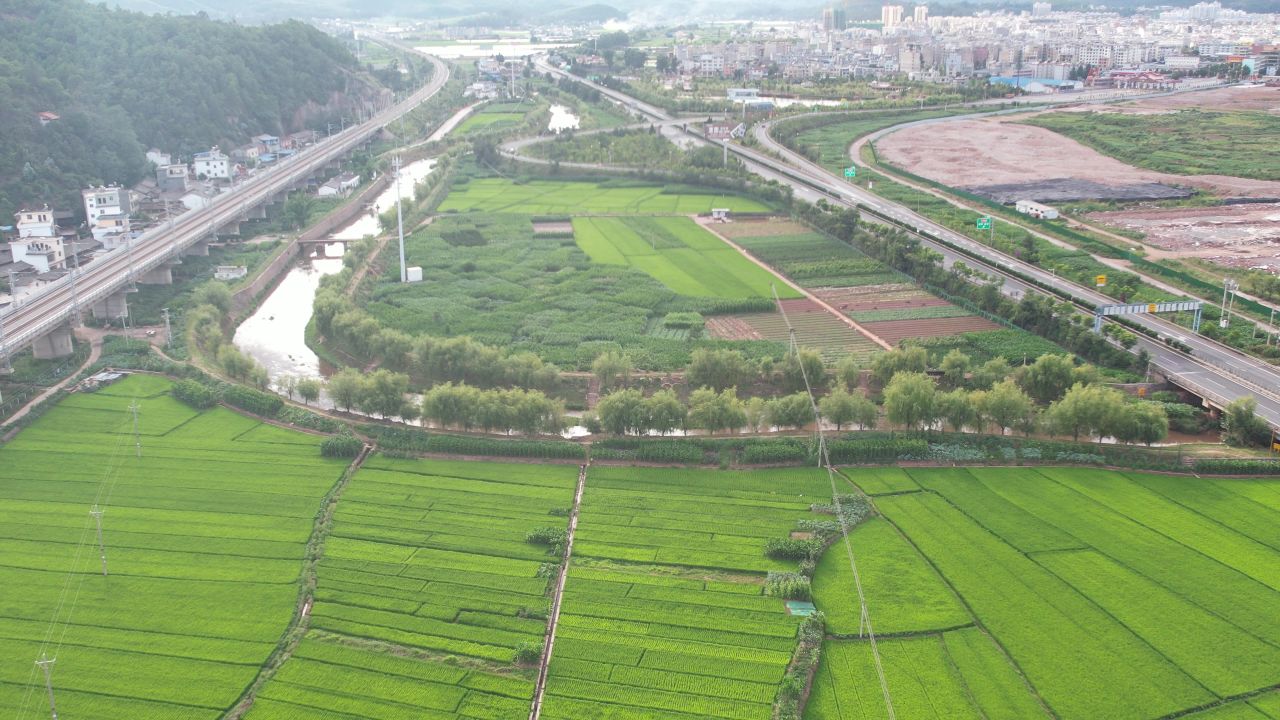 庄家种植