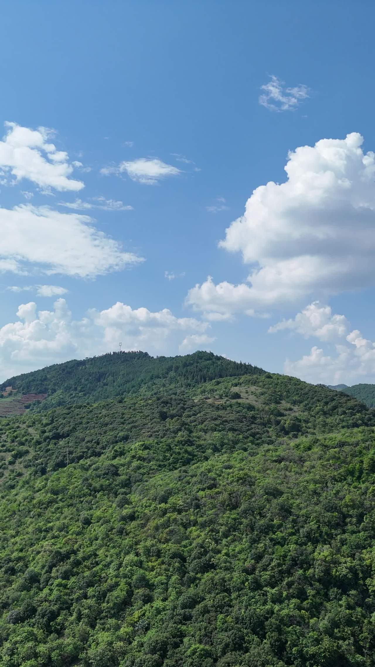 山间绿意盎然