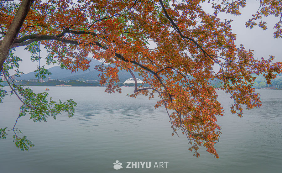 秋日湖畔红叶景