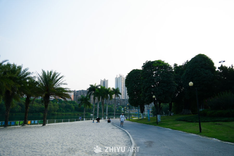 城市公园的宁静时光