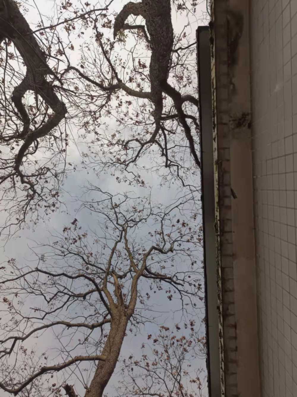 冬