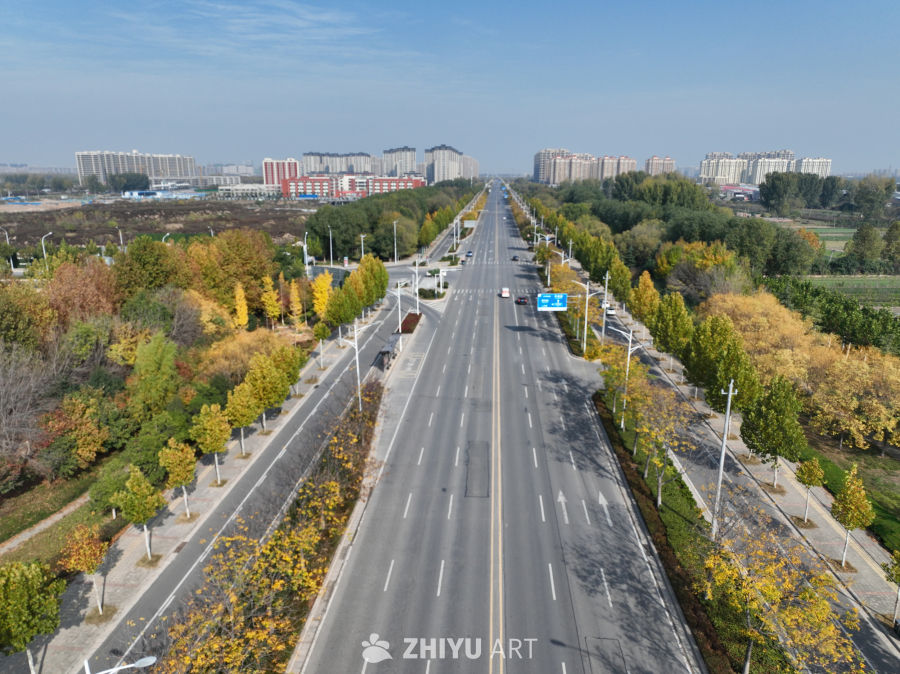 秋日城市道路