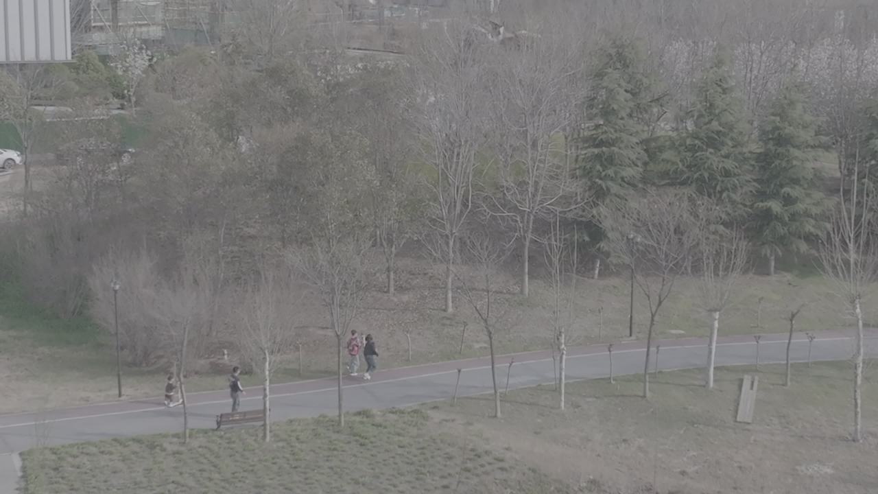 公园晨跑时光