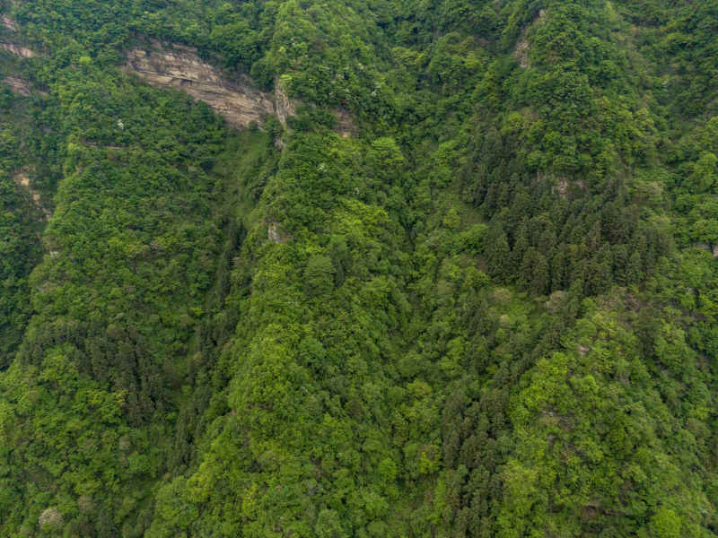 湖南张家界武陵源5A景区