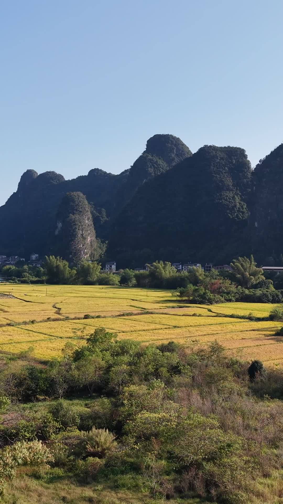 稻田与山峦的和谐画卷