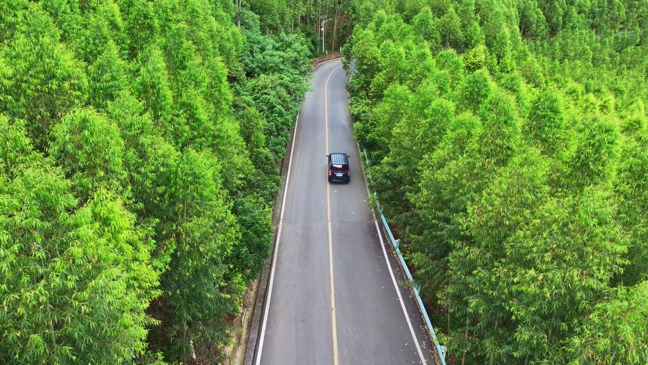 4K森林山路 绿色出行  车辆行驶