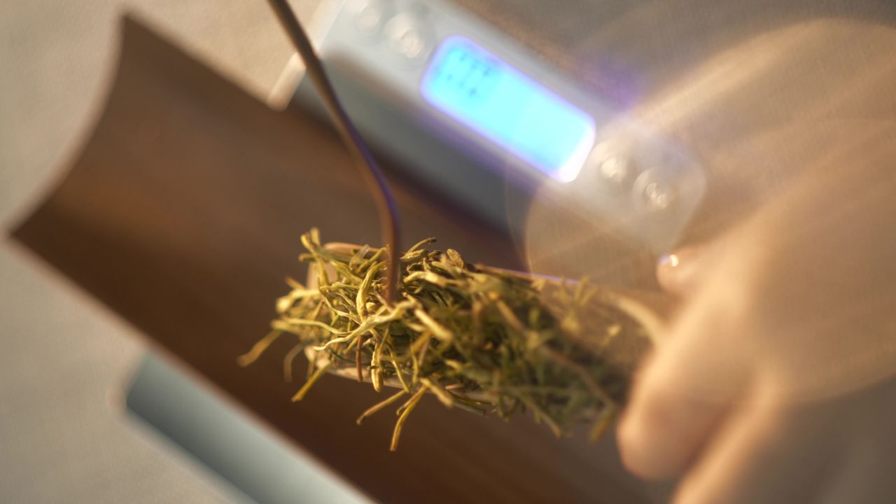 金银花