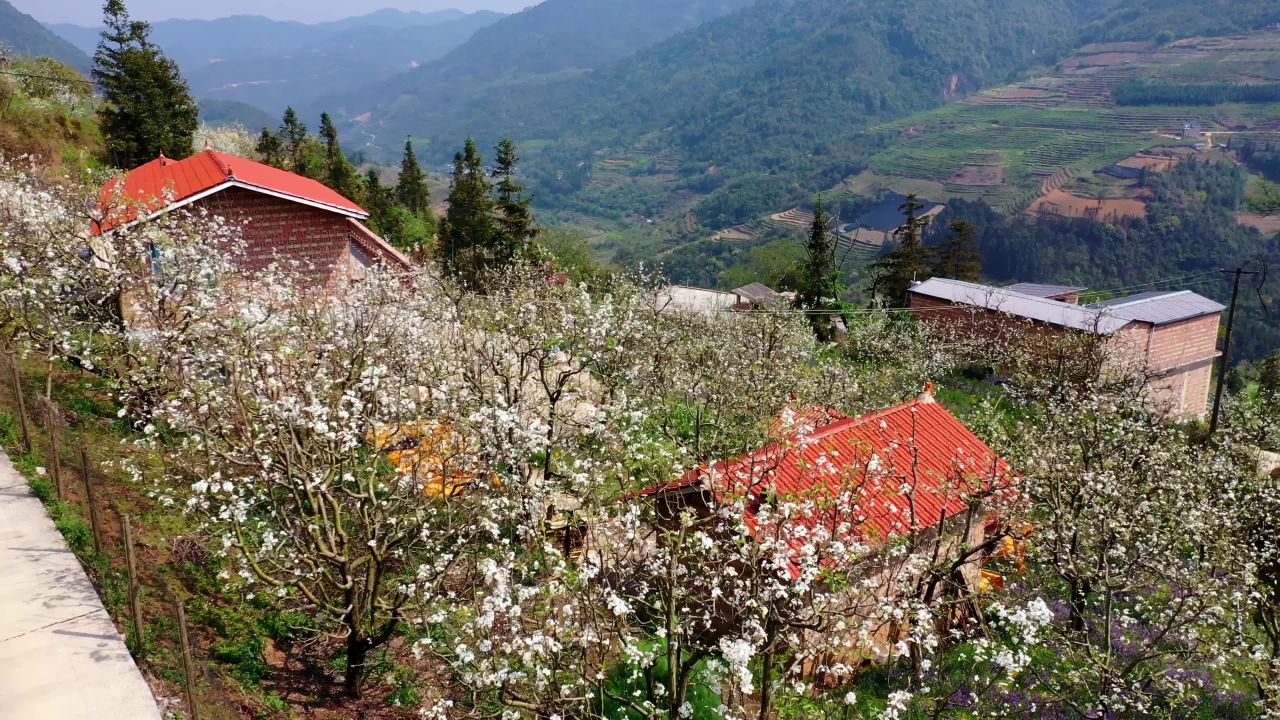 乡村山间春色