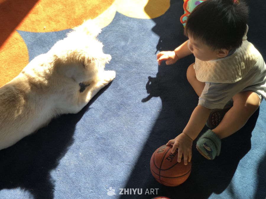 阳光下的亲子时光