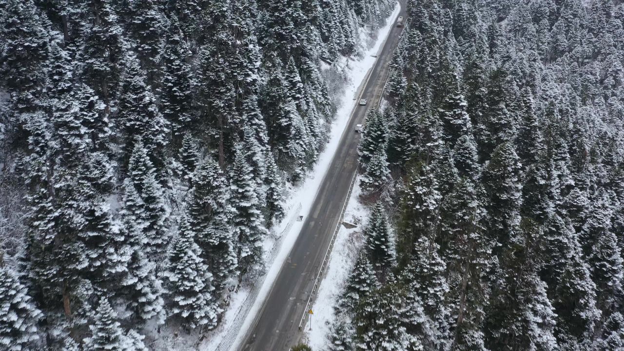 航拍汽车行驶在大雪纷飞的鲁朗林海中的川藏公路上