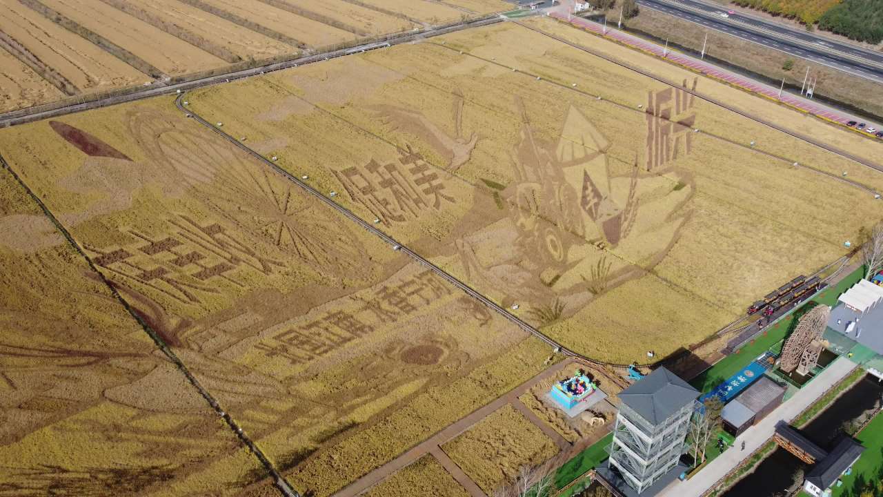全球最大稻田画航拍