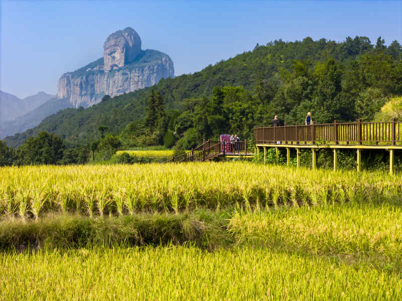 金秋十月 “丰”景如画 7