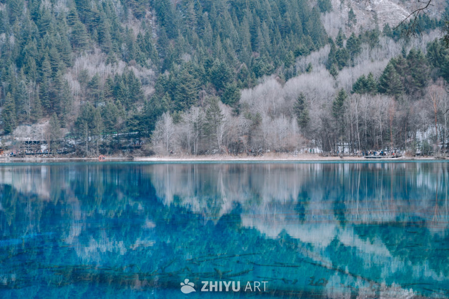 总要看一次冬天的九寨吧