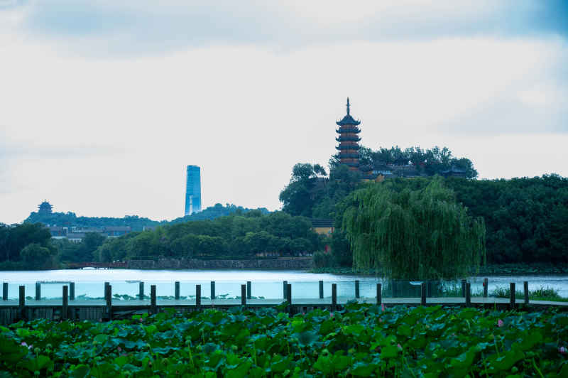 苏宁与金山寺同框