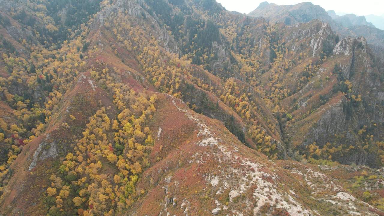 航拍秋季山林迷幻色彩