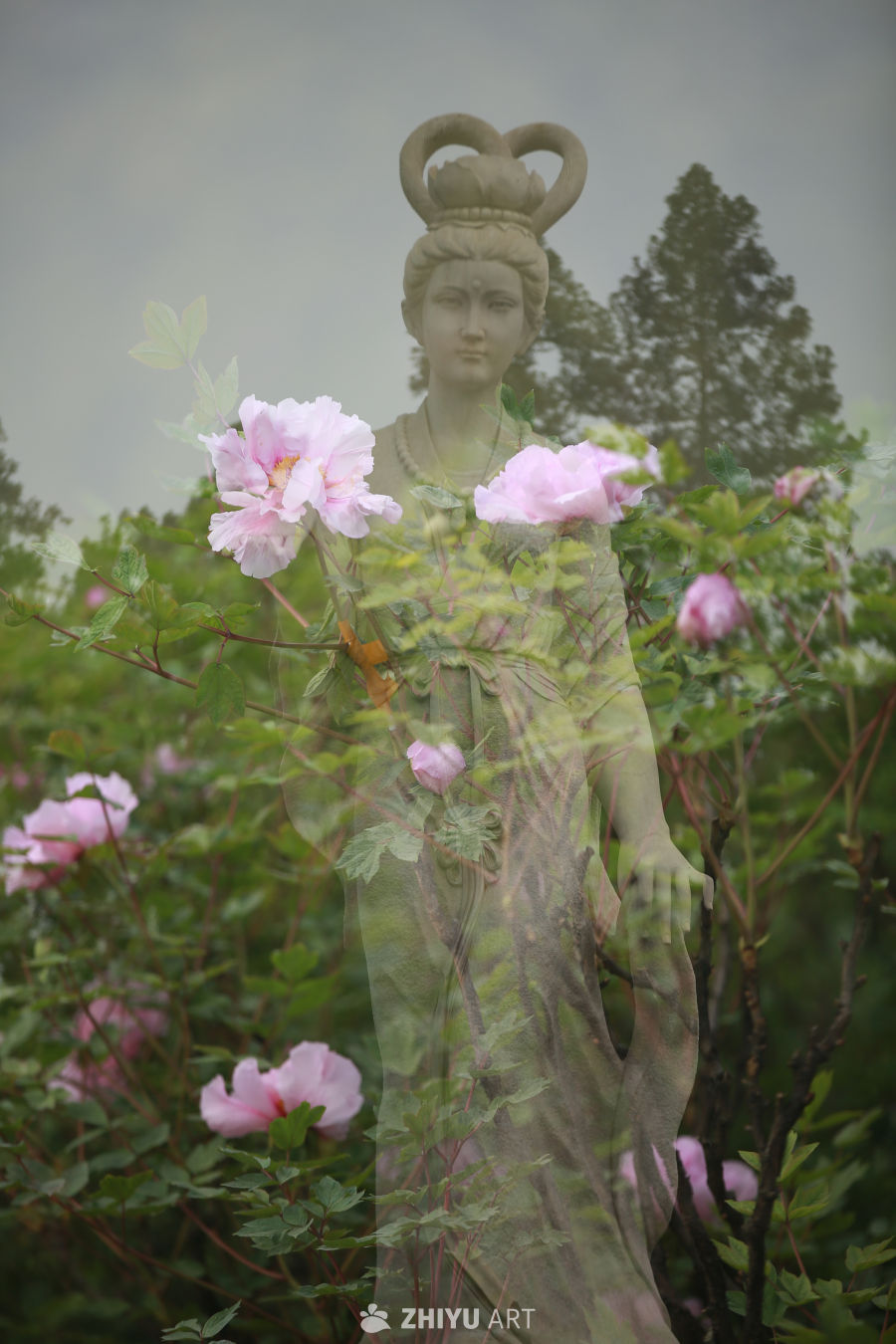 花与石像的和谐