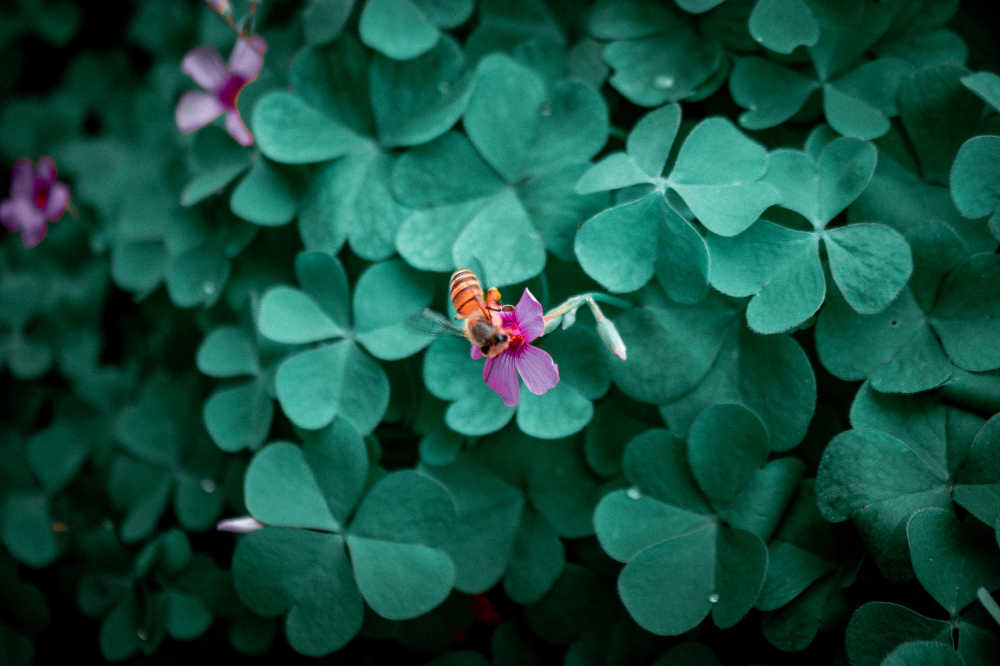 细节