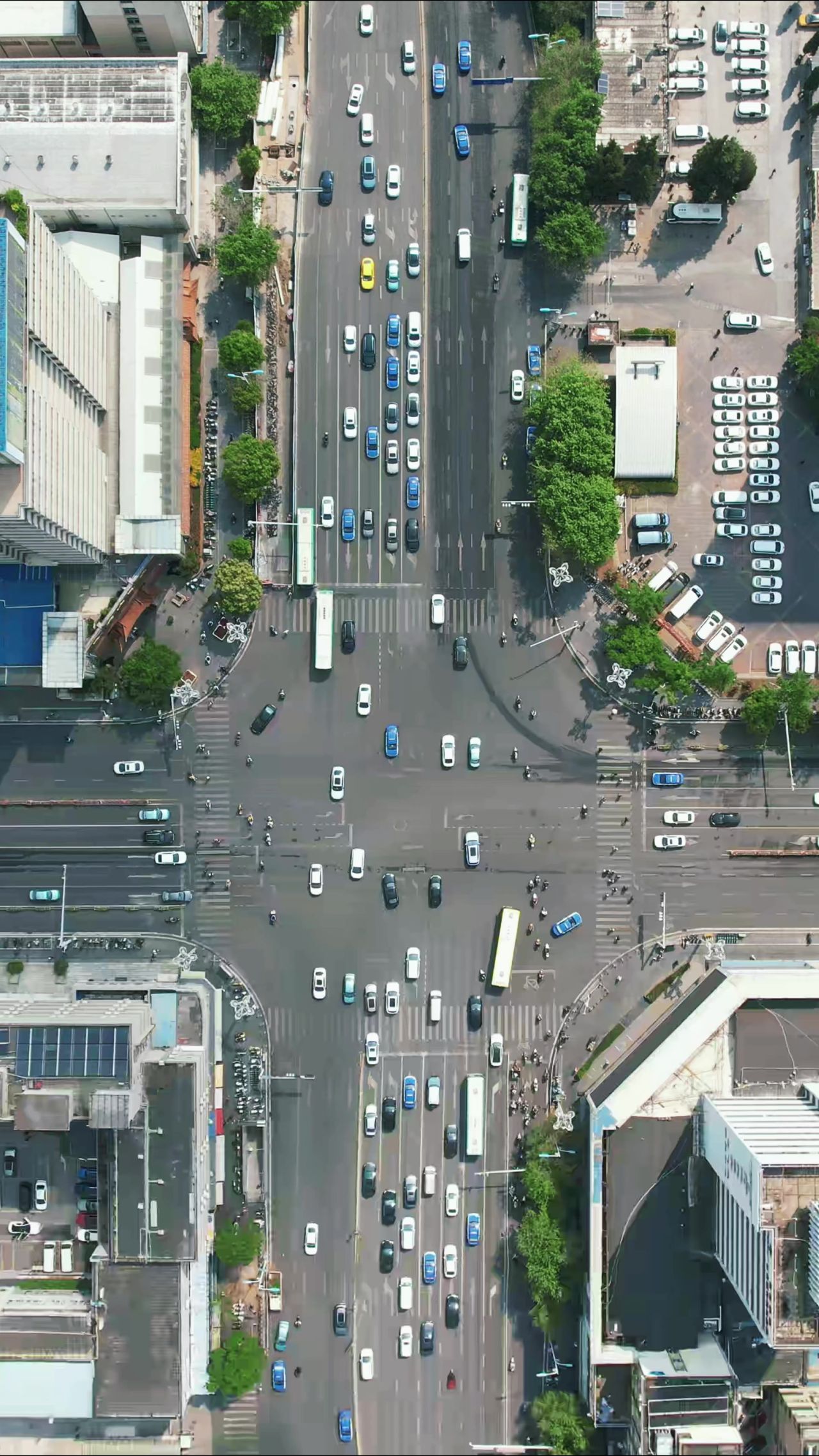 城市交通车辆行书竖屏航拍 