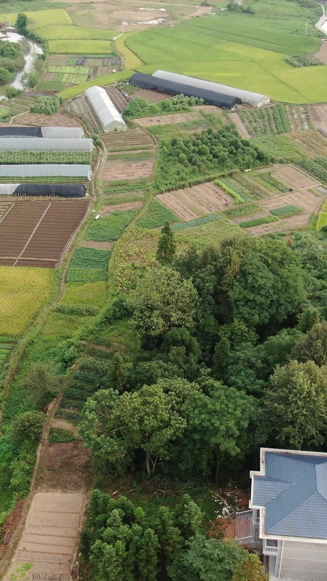 乡村田园风光