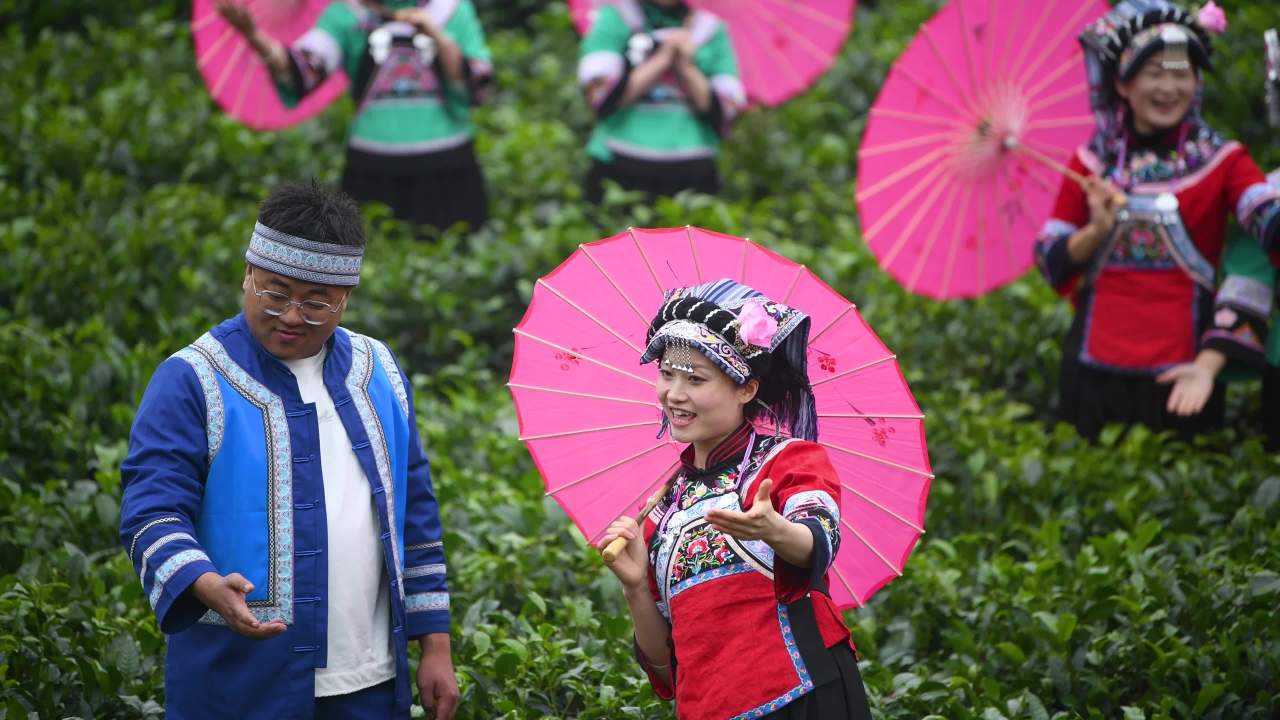 少数民族茶山唱歌   茶叶宣传片