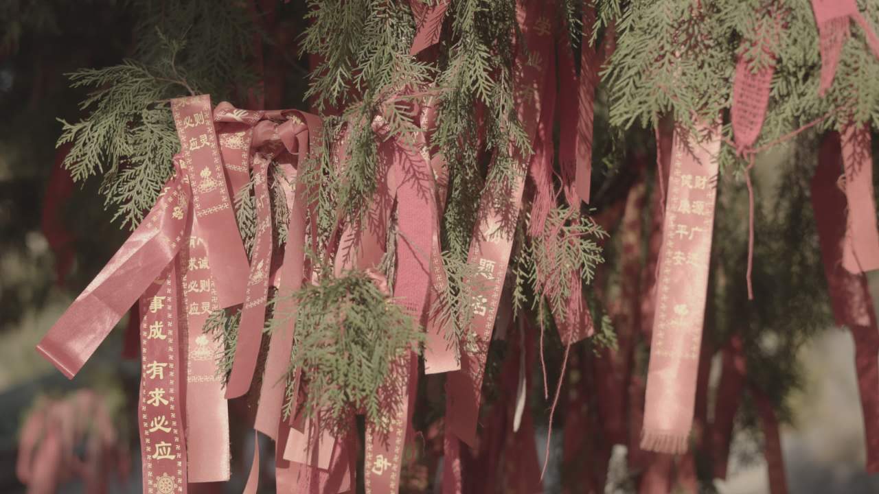 【实拍样片】佳能EOS R7相机实拍原片视频 13