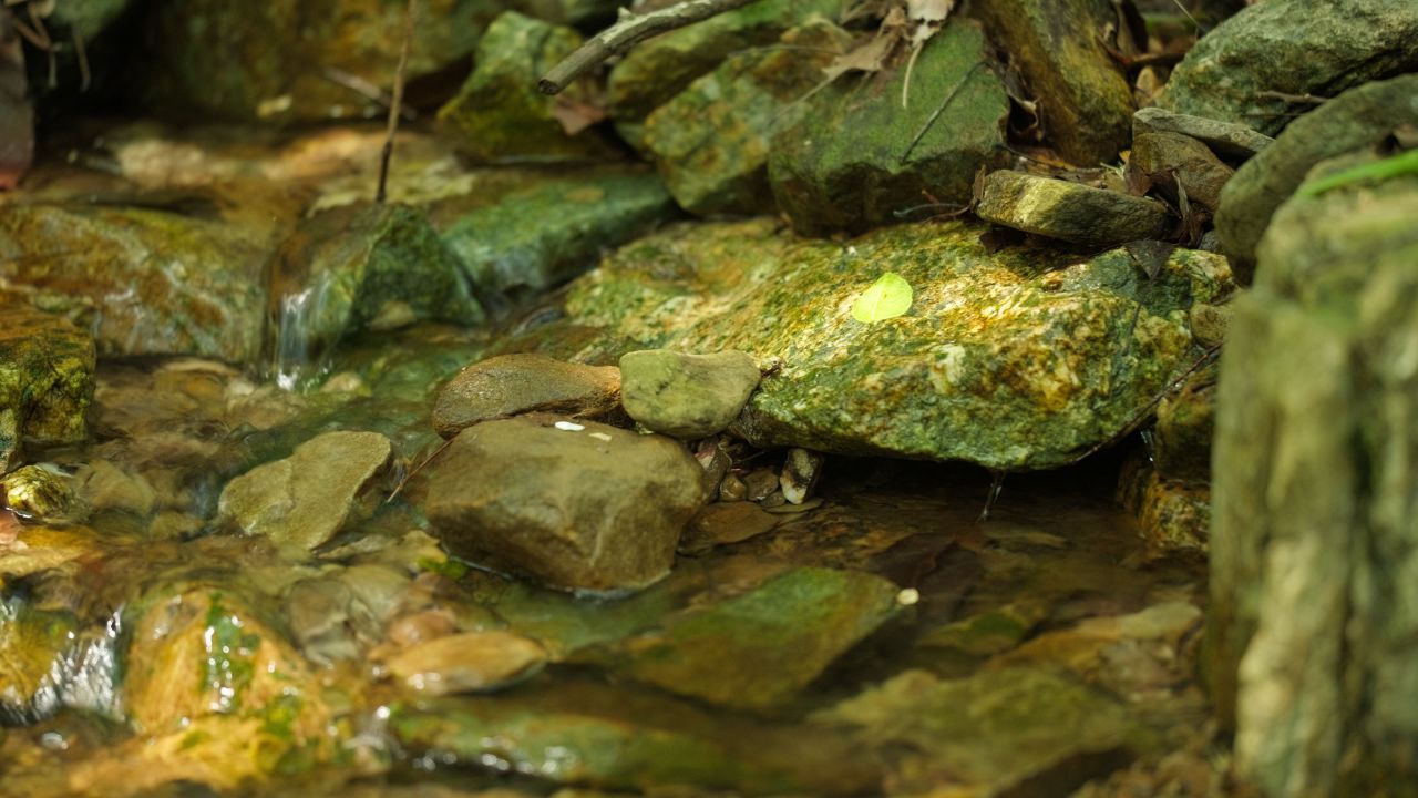 清澈山泉水温泉矿泉水小溪山涧 16