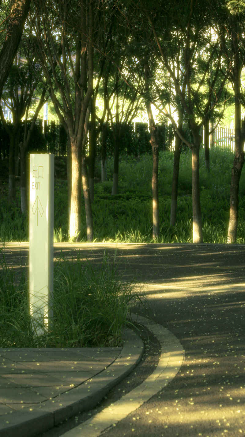 光影 16
