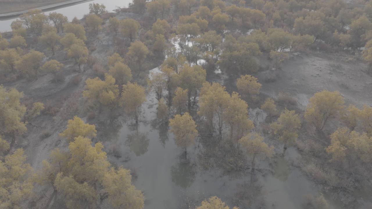 秋日雾中河畔航拍