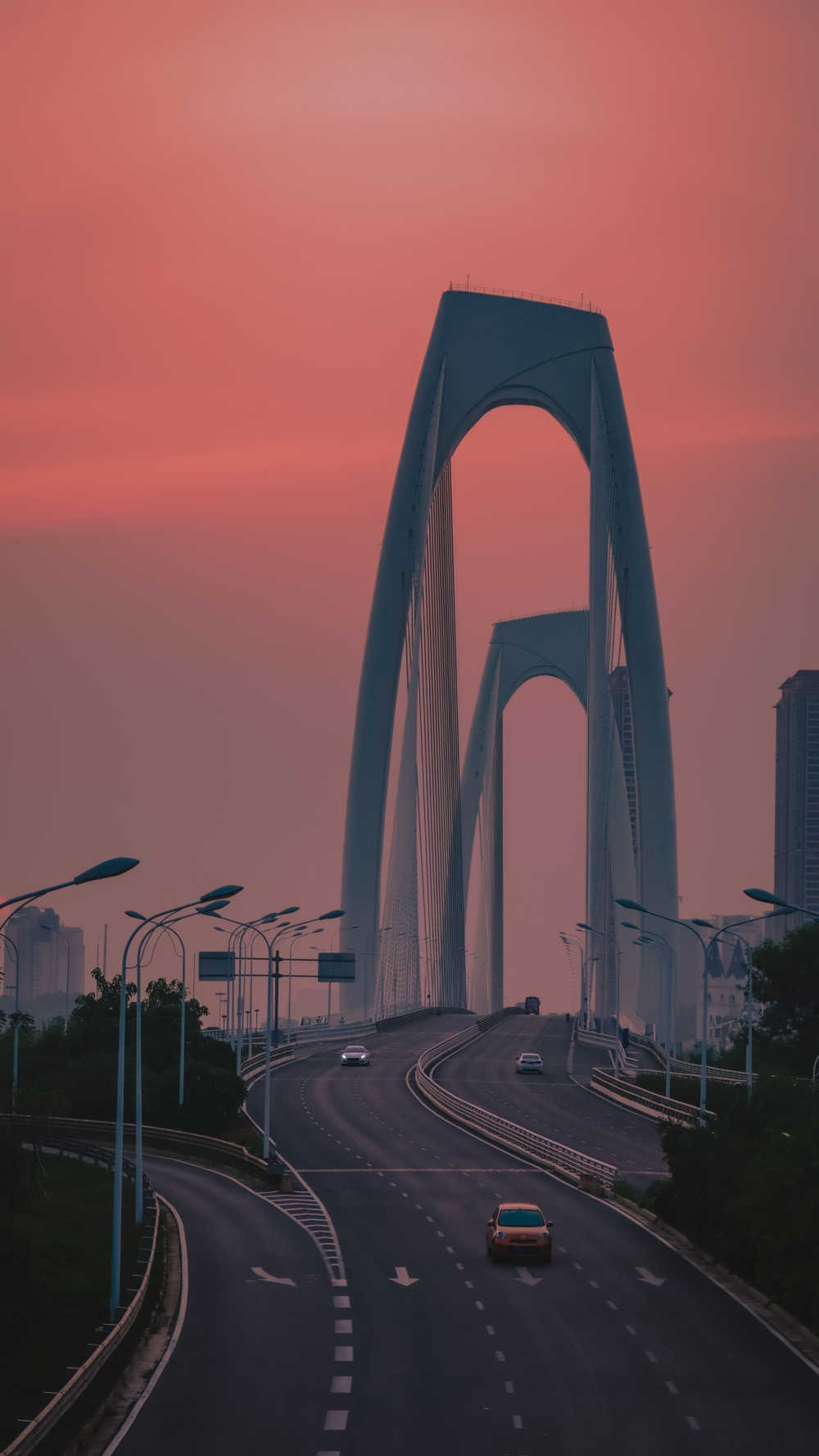 粉红天空下的城市建筑