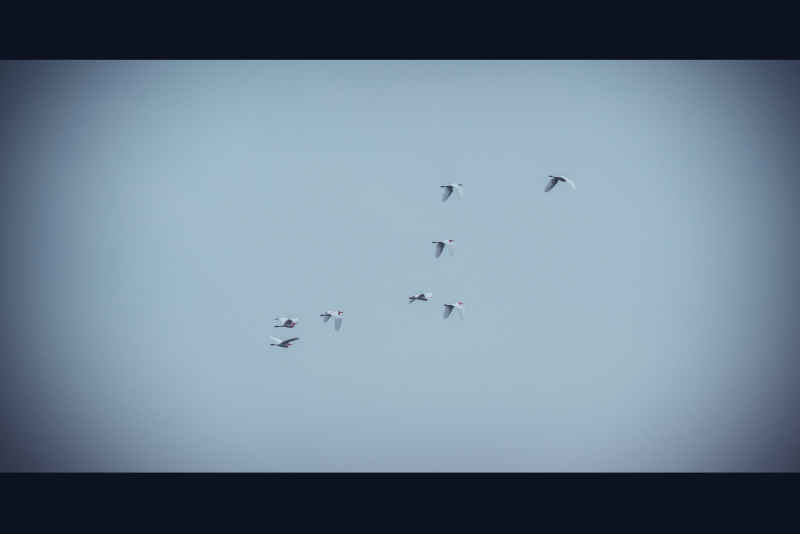 汕头印象 34