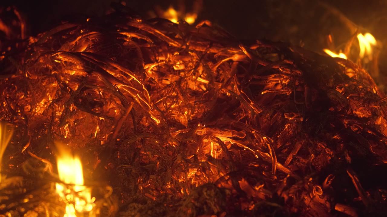 燃烧的木炭柴火篝火 5