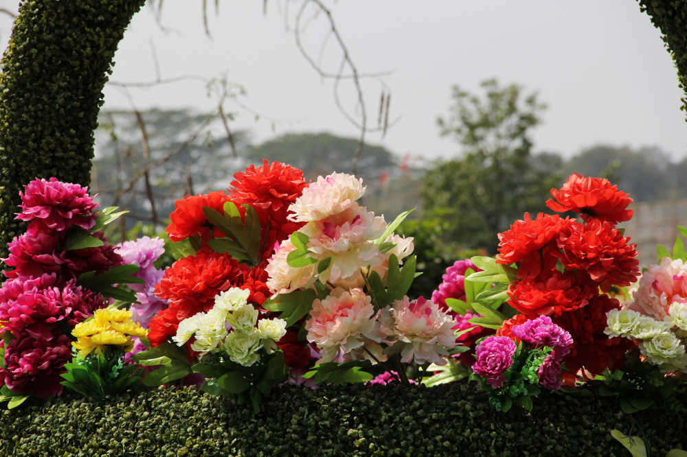 花篮与牡丹常鲜花