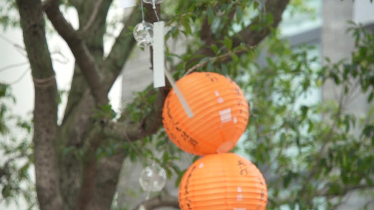 挂在树梢上的玻璃风铃2