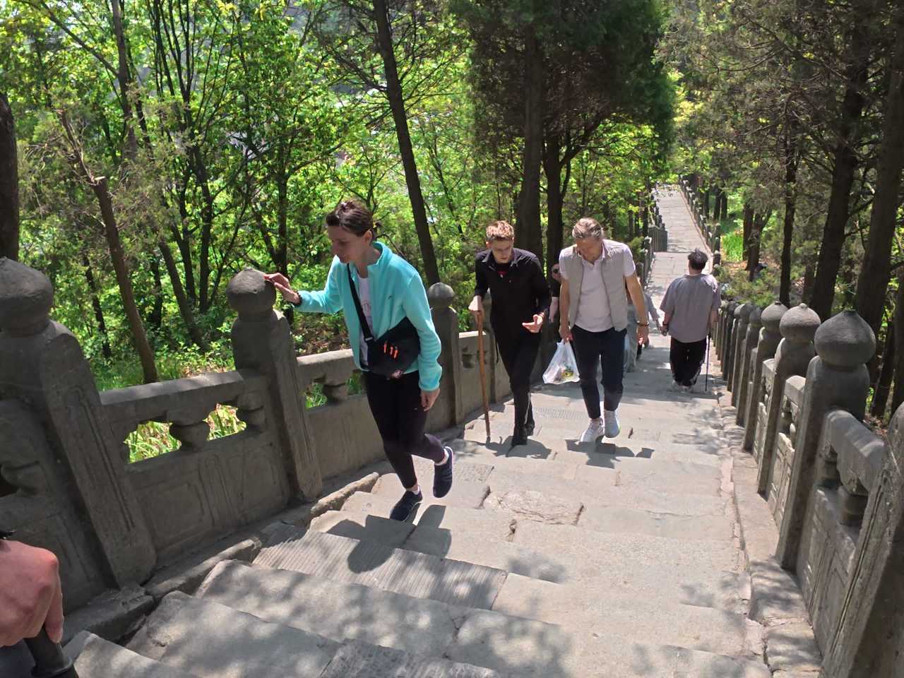 登山步道上的悠闲时光