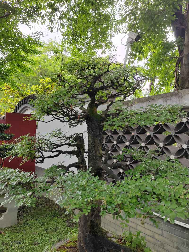 窗花
