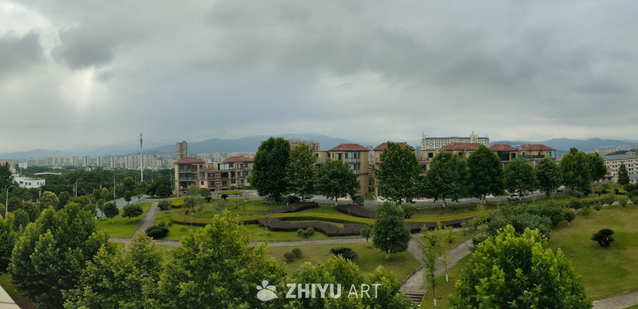 城市绿洲：阴天下的宁静住宅区