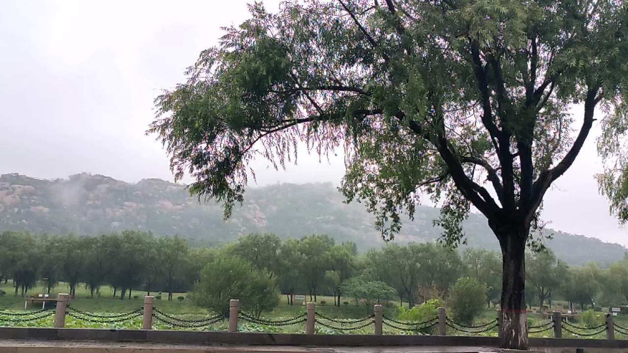 山与雨 1