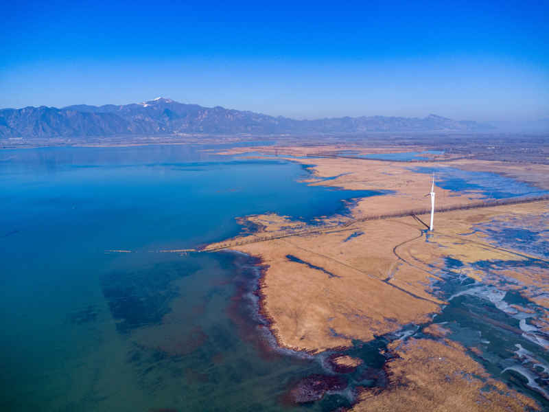 河岸