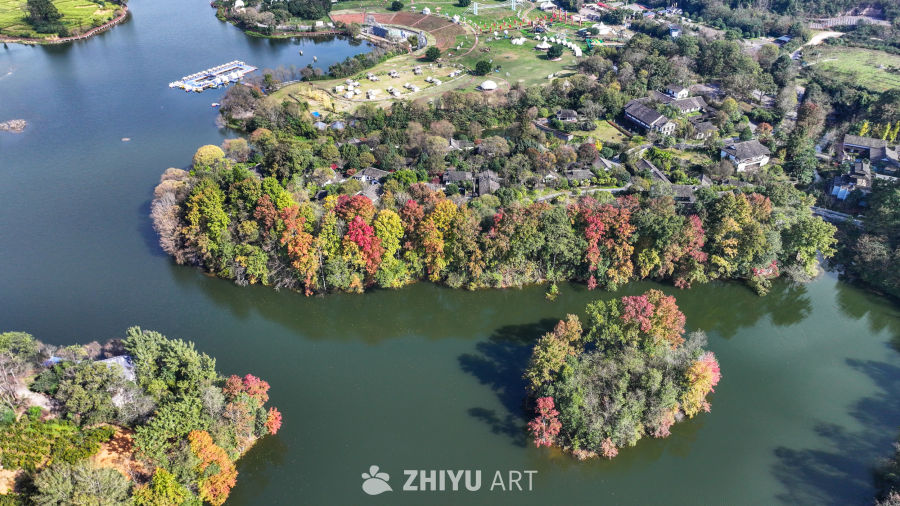 航拍水边枫叶美景  初冬枫叶似火 16