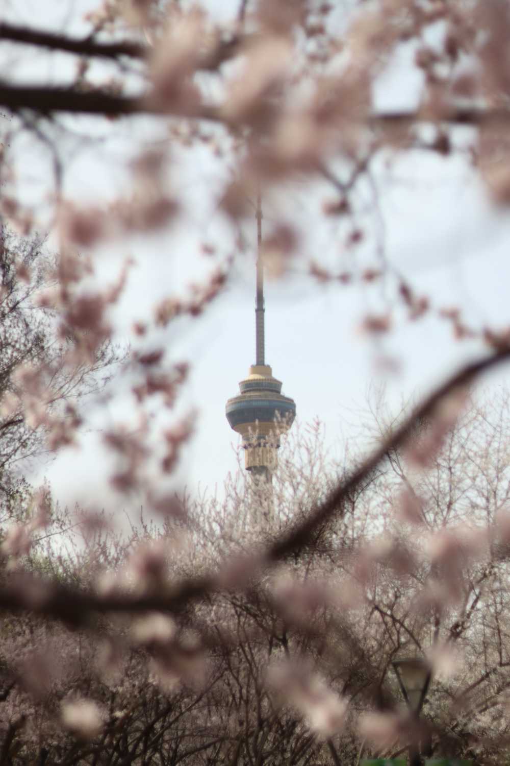 花中塔