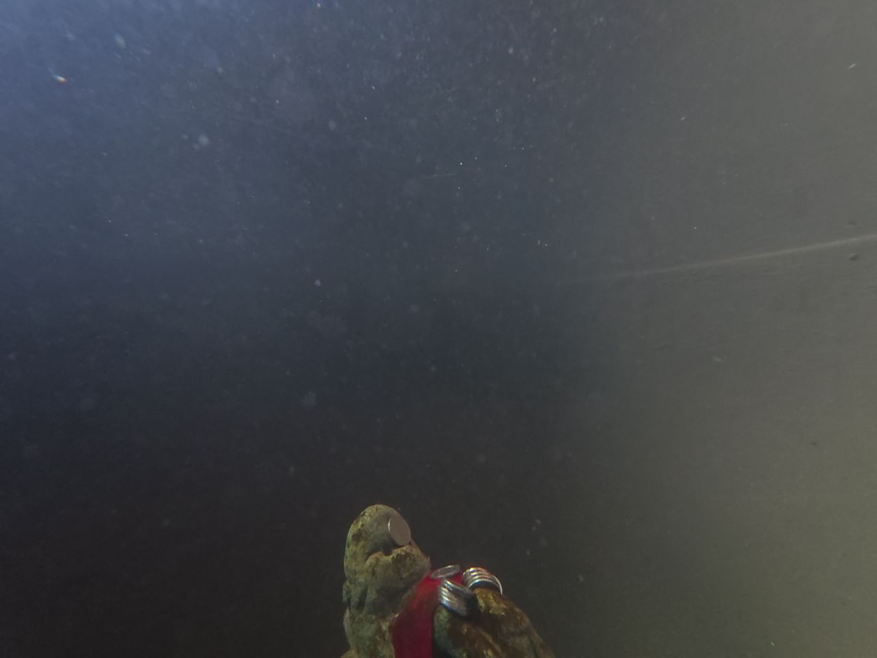 水下探索与古井寻宝