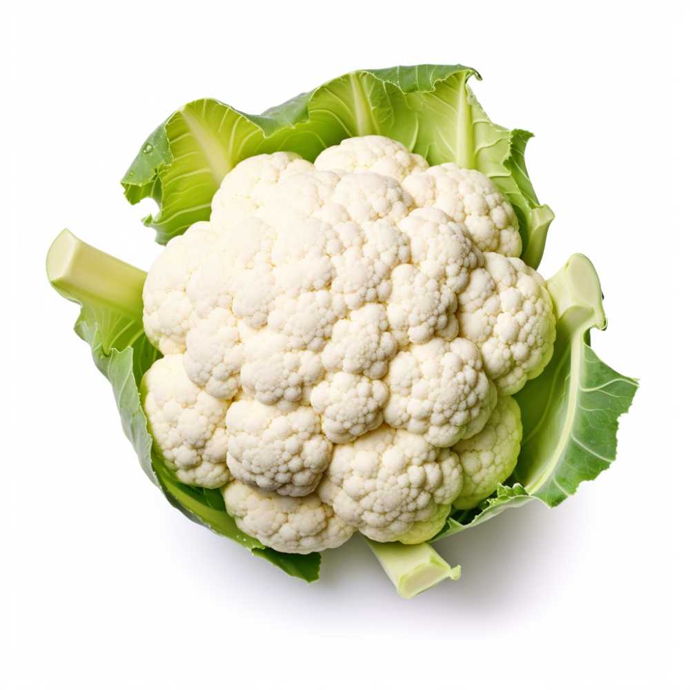 摄影元素