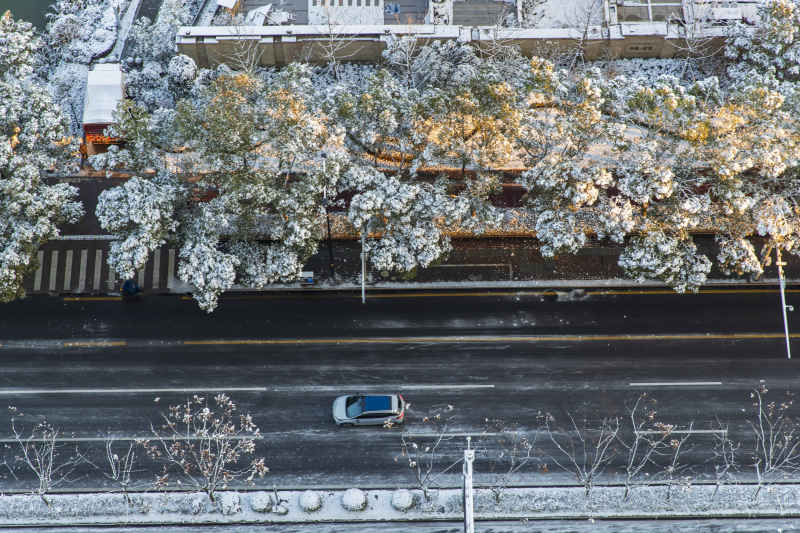 温州新城雪景 5
