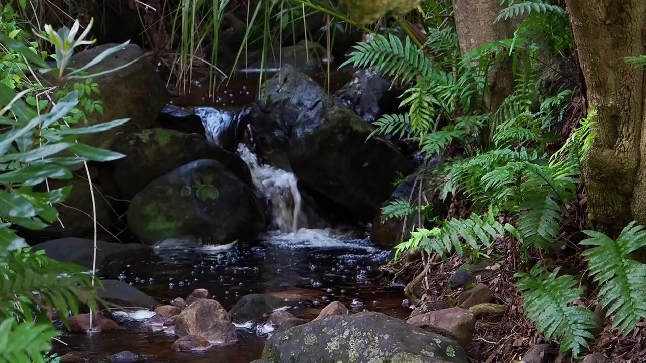 大瀑布水河溪自然