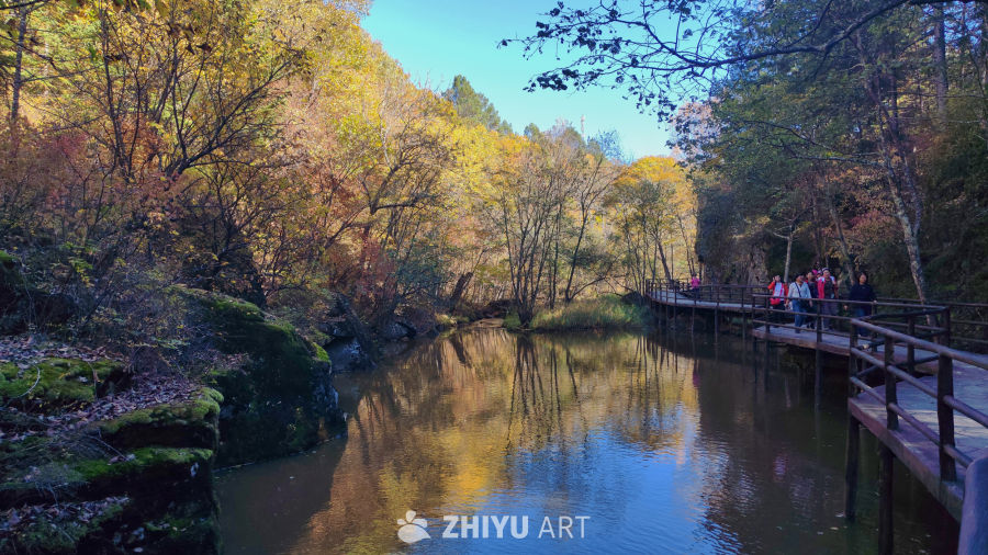 秋潭织幽 彩林映画