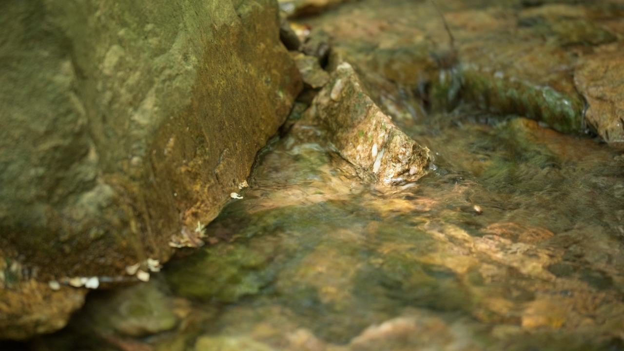 山泉水矿泉水潺潺小溪流水瀑布 9