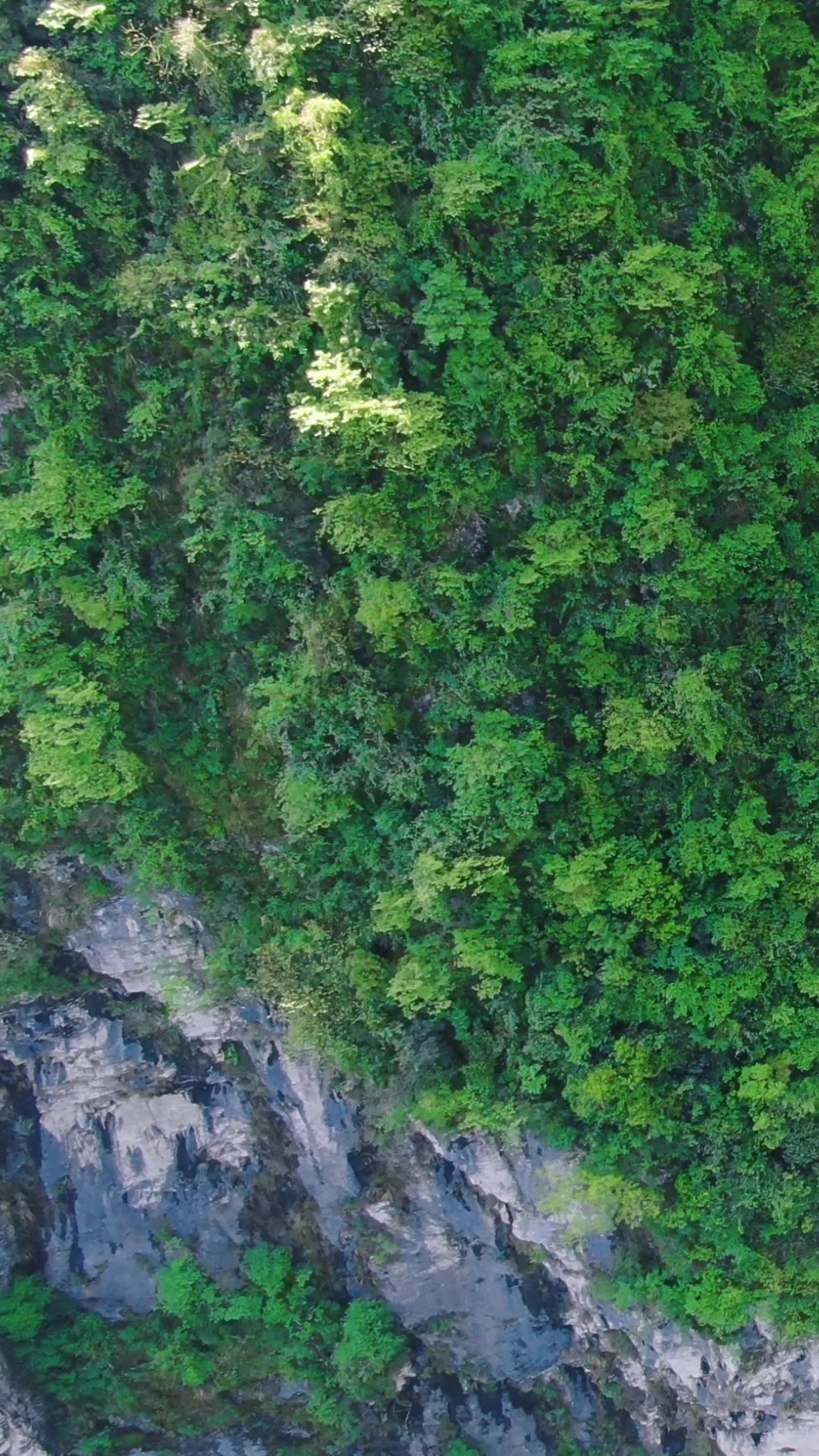  自然风光山川森林竖屏航拍
