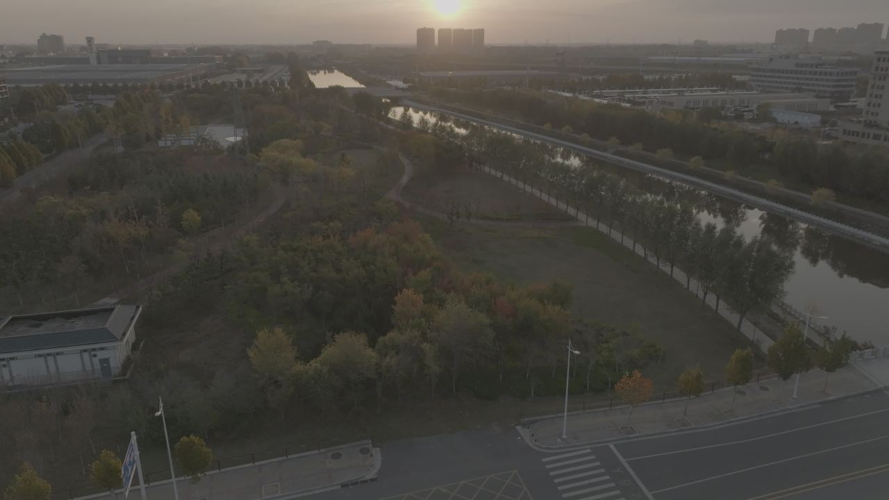城市中的自然之韵