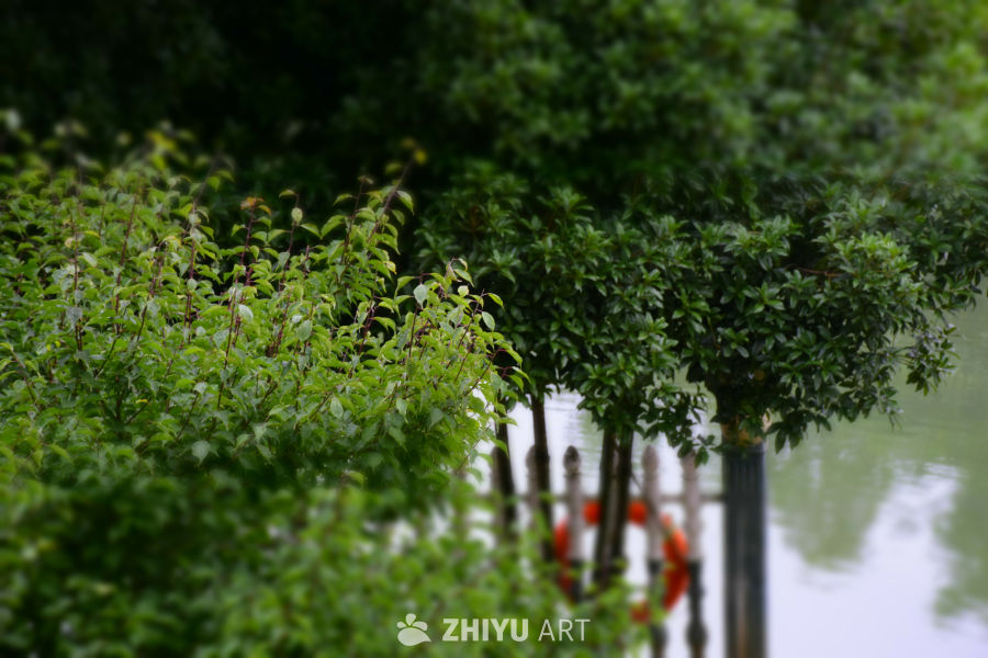 家门口，感觉很好看